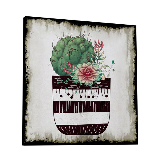 Cactus Succulents 649