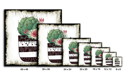 Cactus Succulents 649