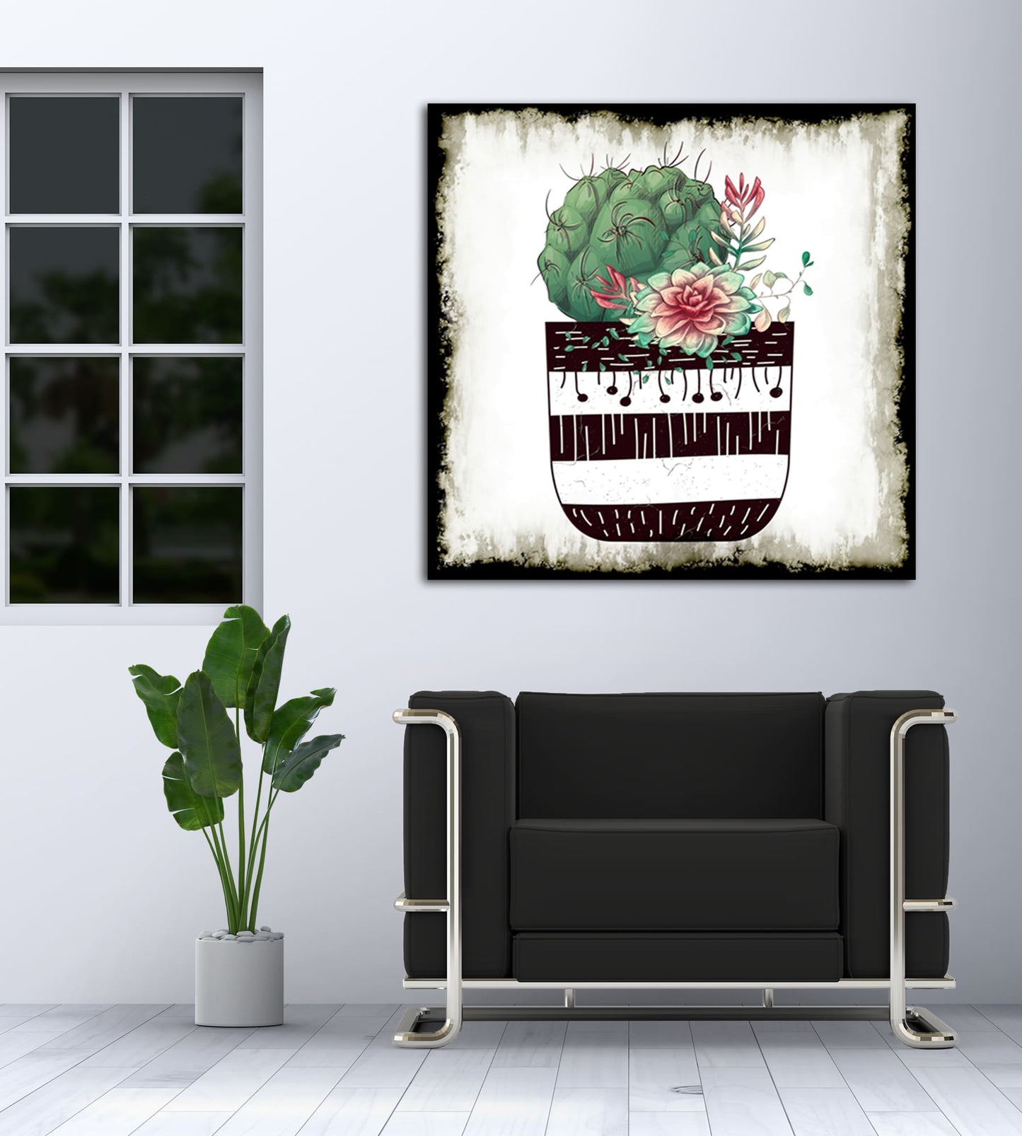 Cactus Succulents 649