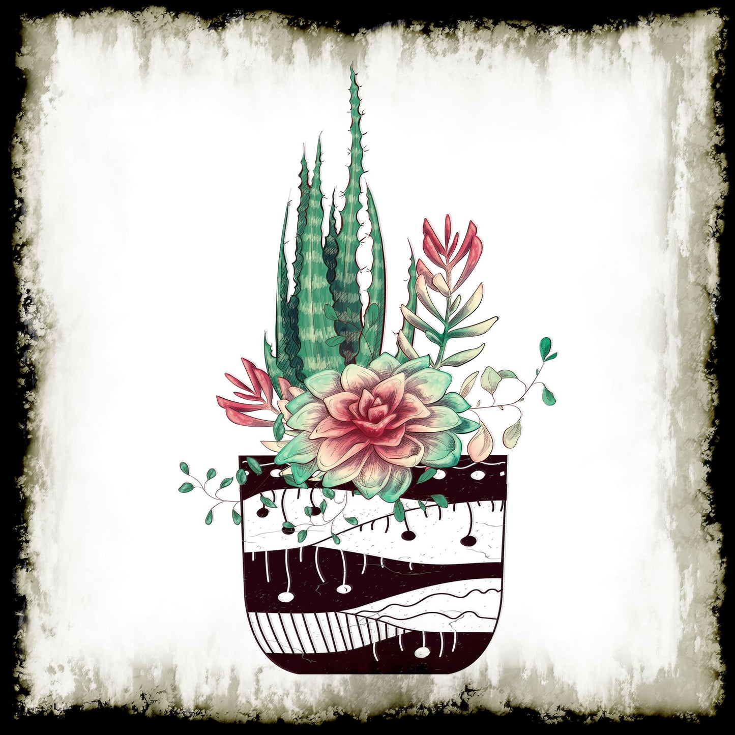 Cactus Succulents 650
