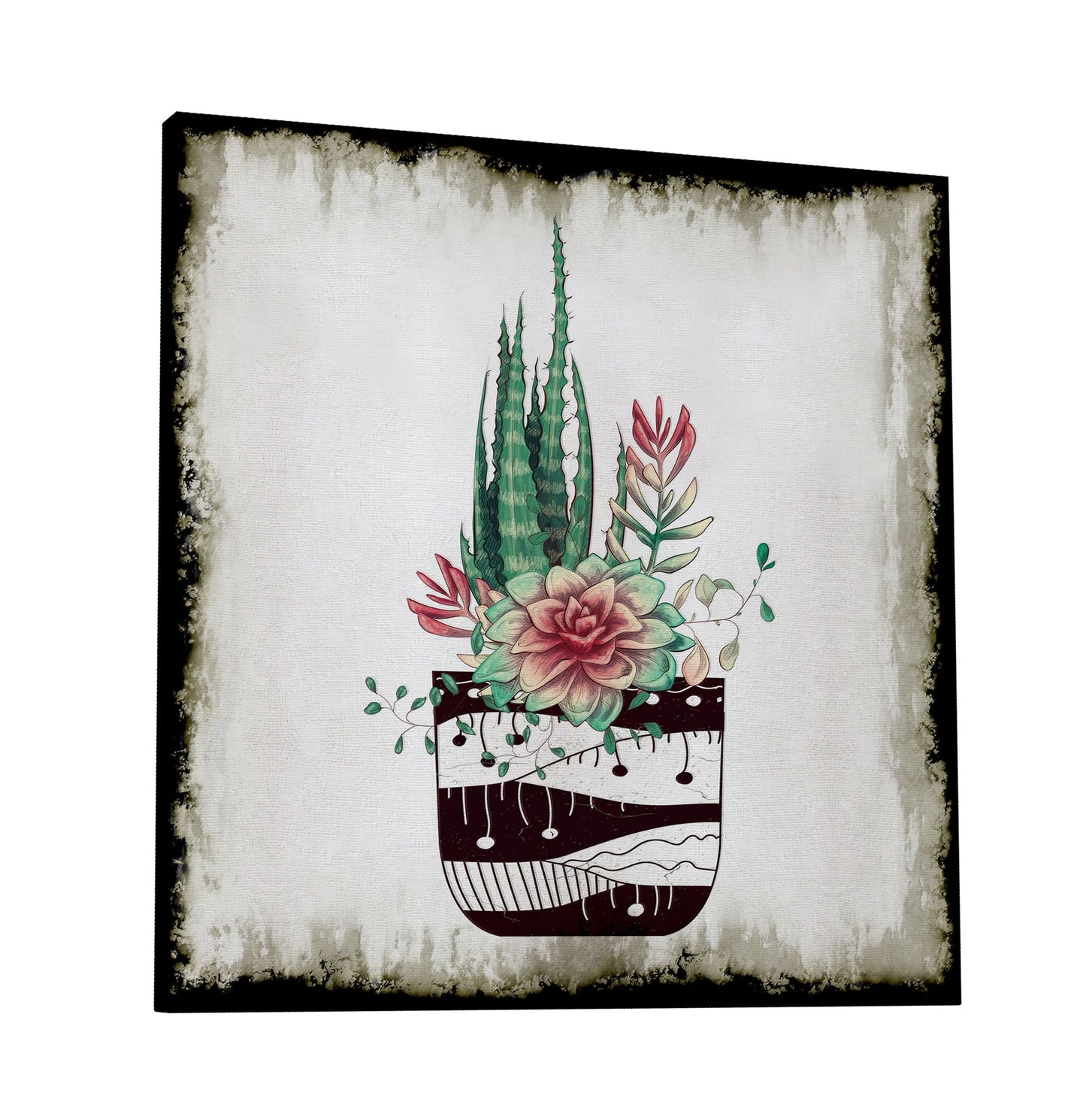 Cactus Succulents 650
