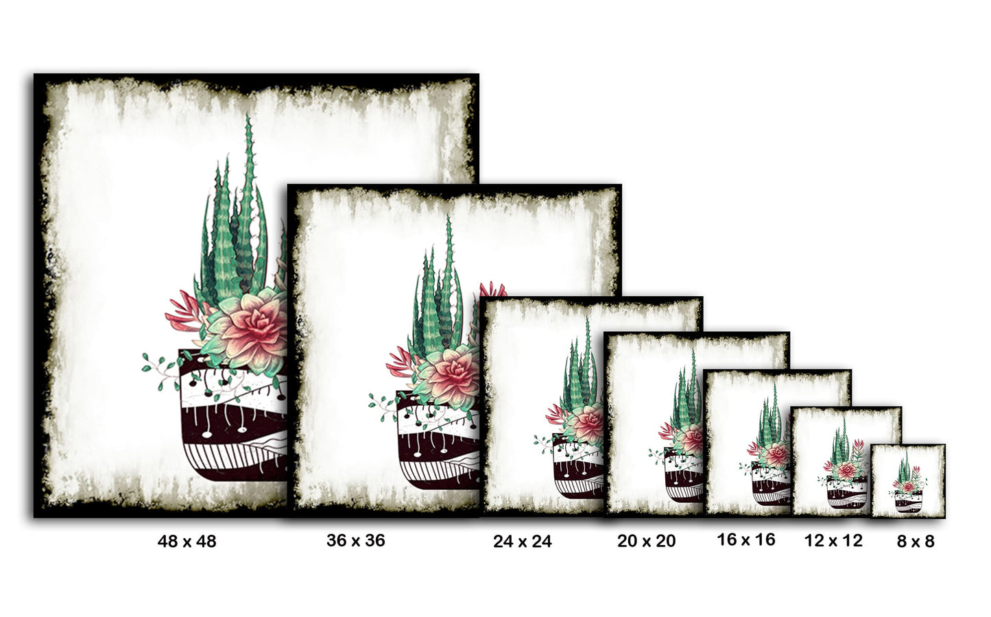Cactus Succulents 650