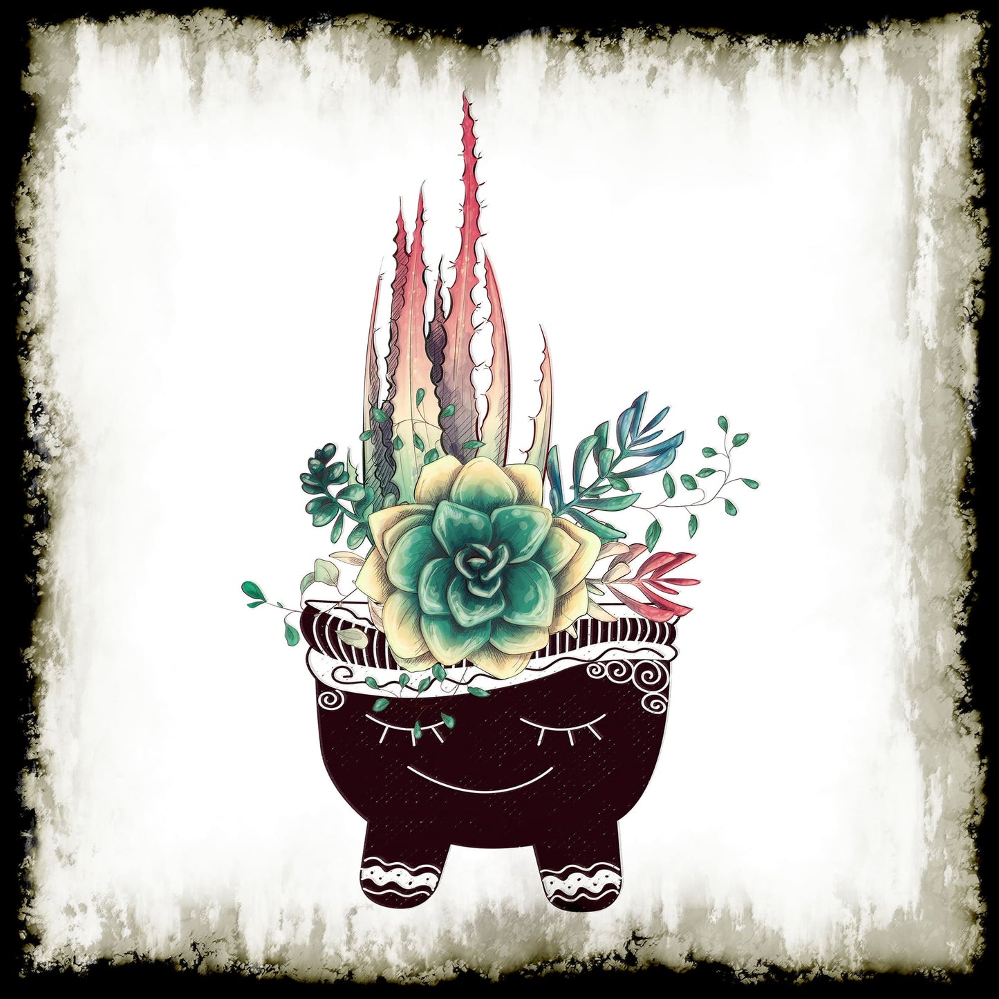 Cactus Succulents 651