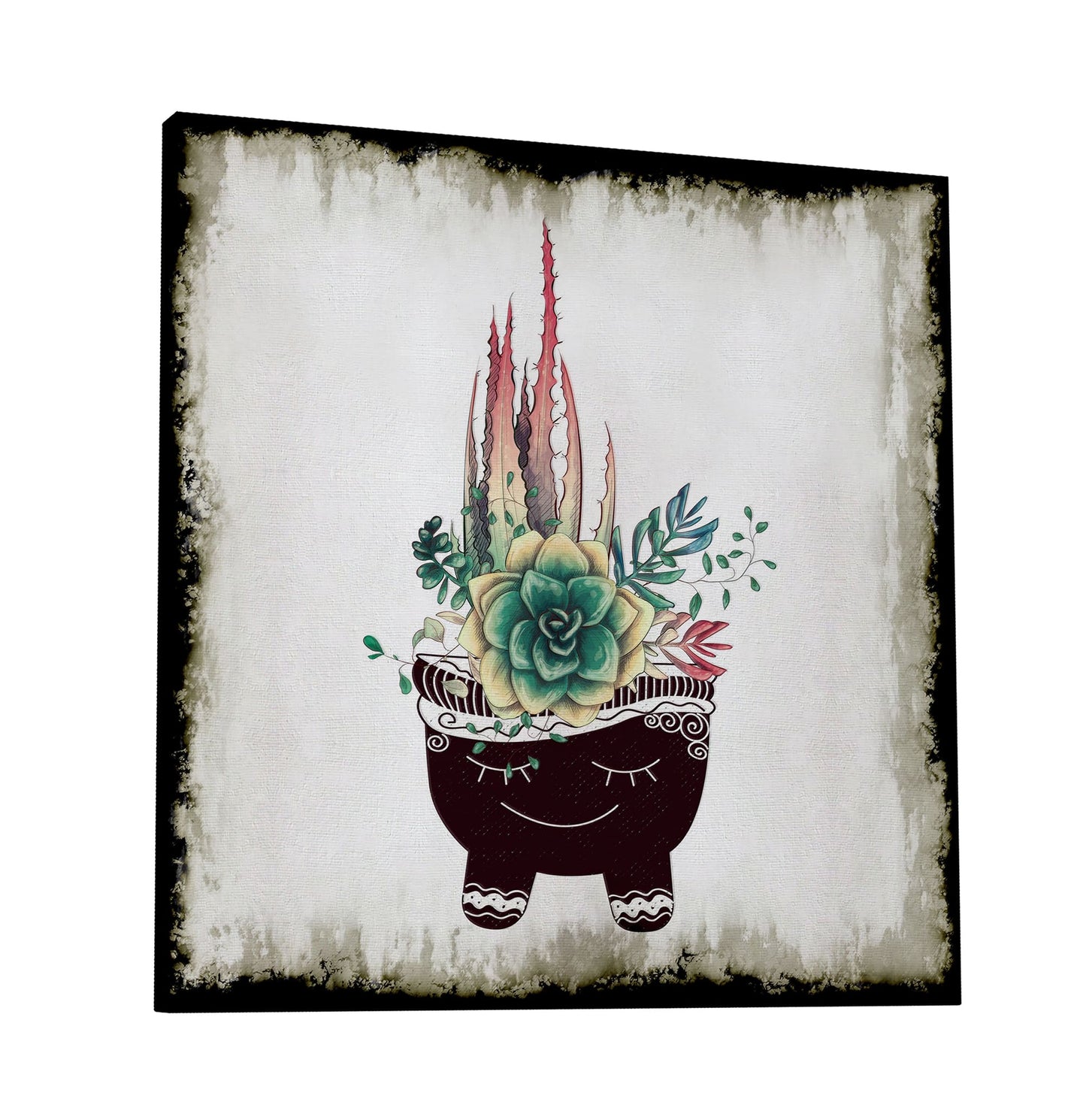 Cactus Succulents 651