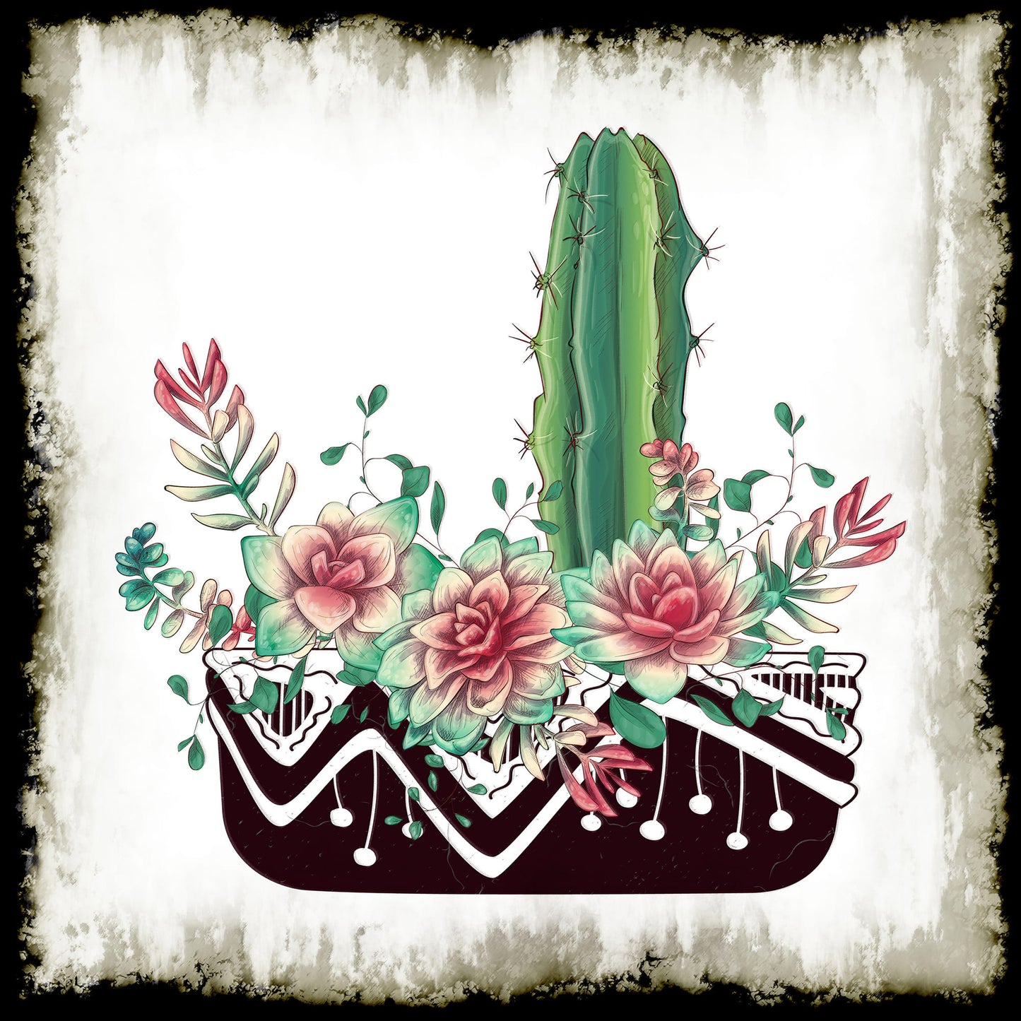 Cactus Succulents 652