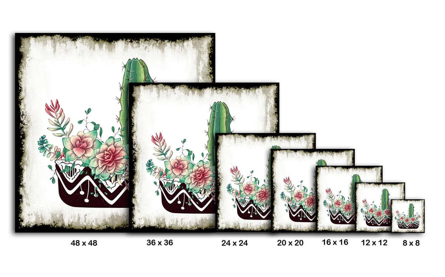 Cactus Succulents 652