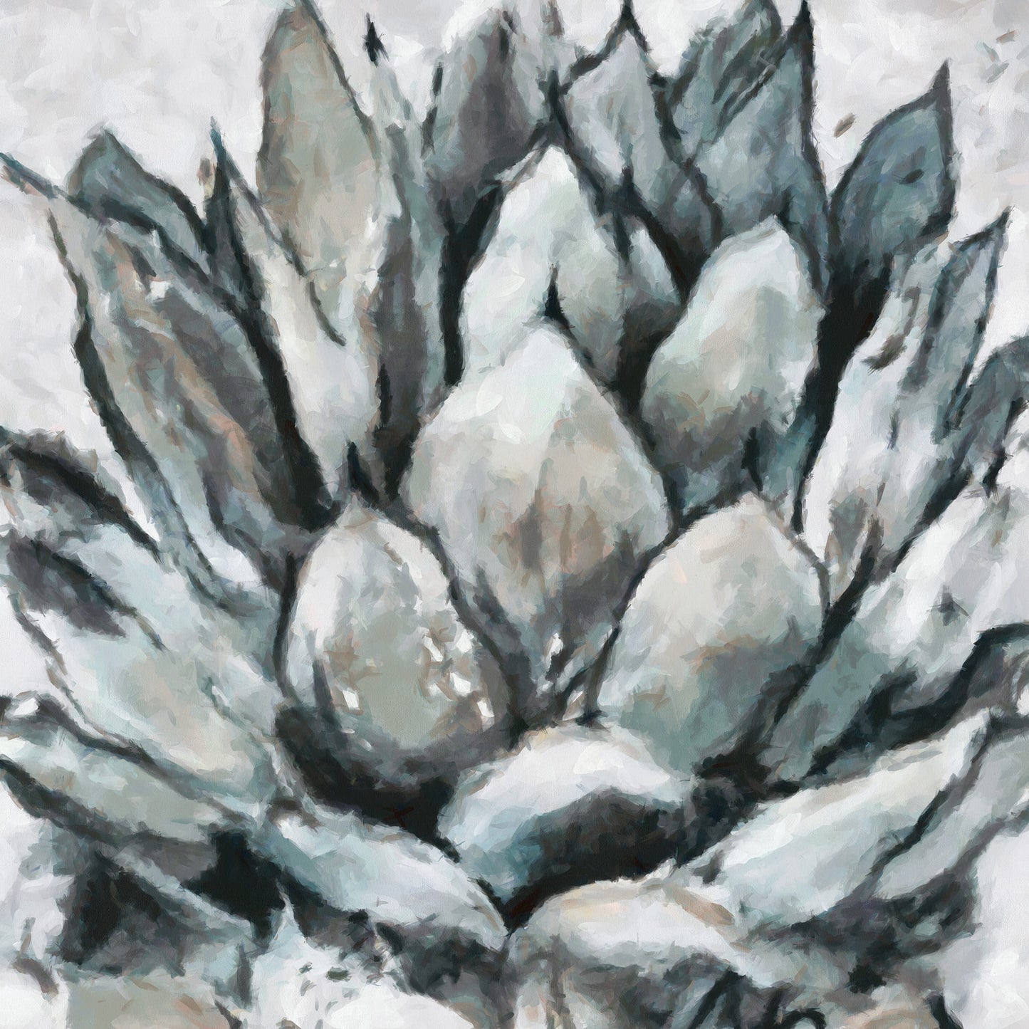 Cereus Echeveria
