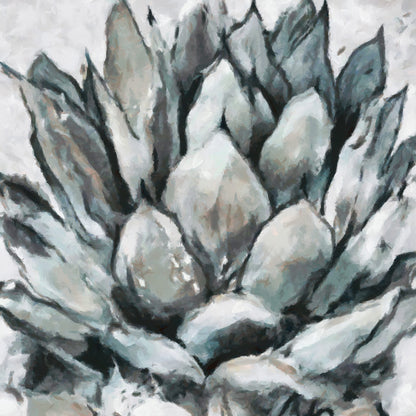 Cereus Echeveria