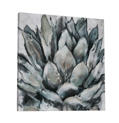 Cereus Echeveria