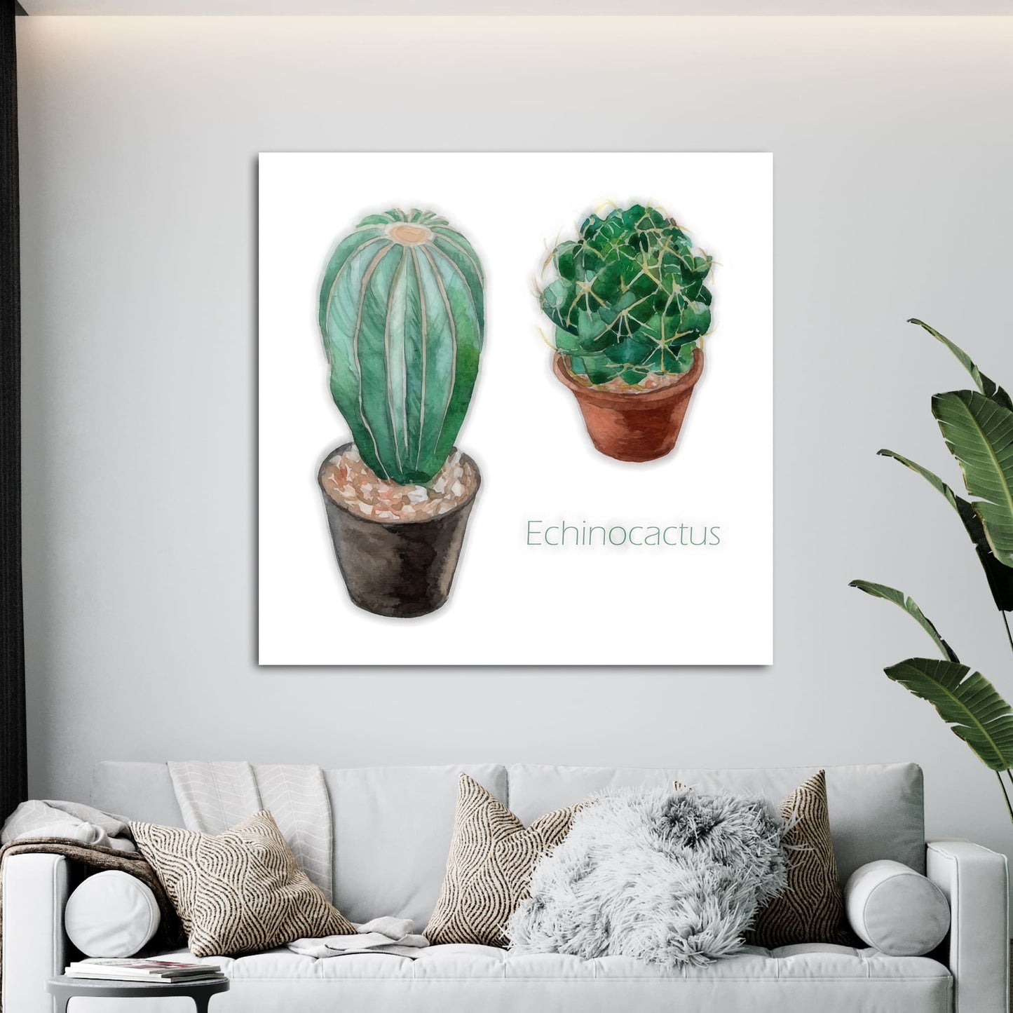 Echinocactus I