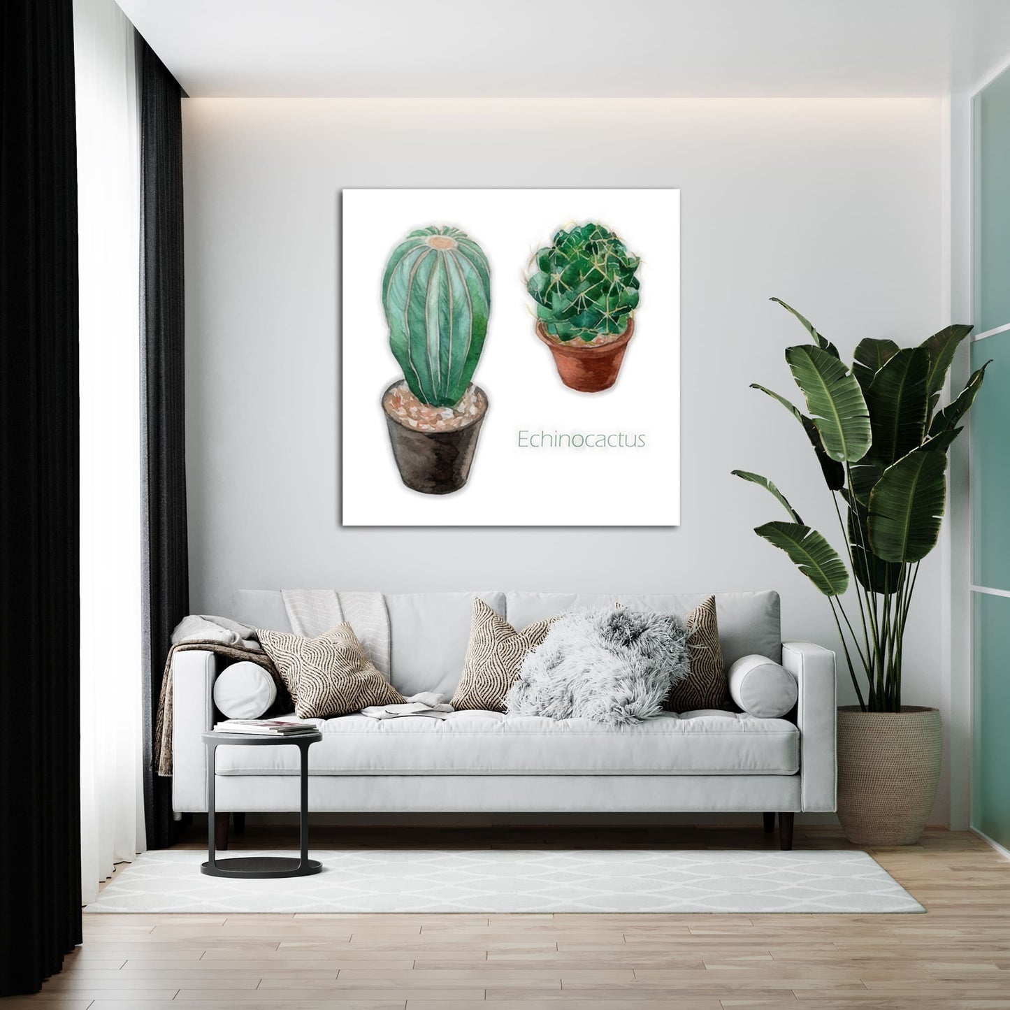 Echinocactus I