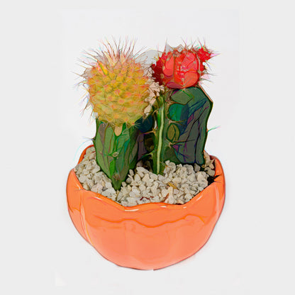 Potted Cactus 177