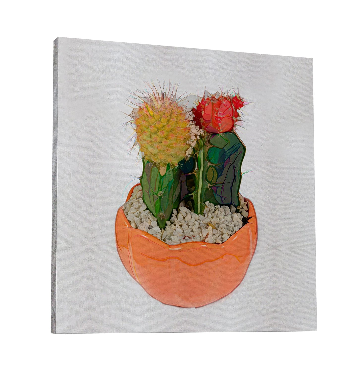 Potted Cactus 177