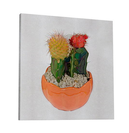 Potted Cactus 177