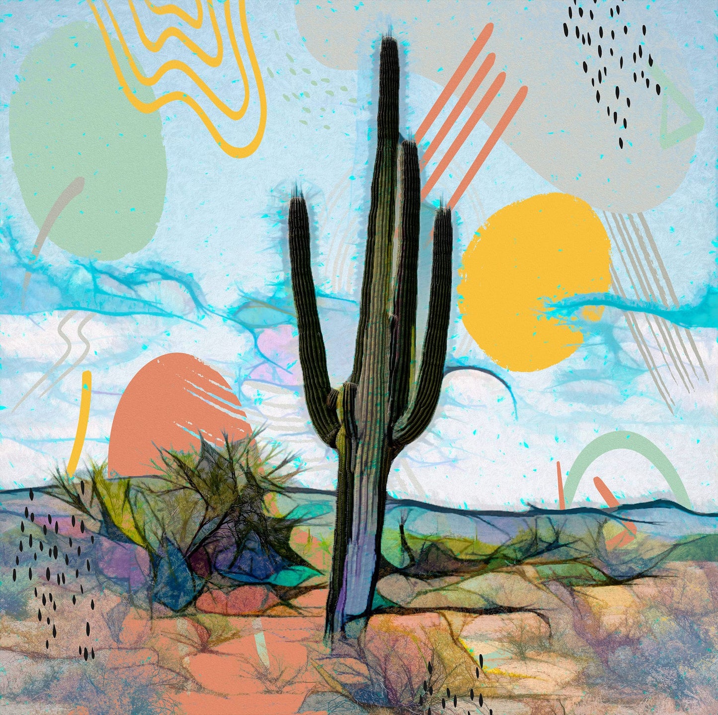Saguaro Sunshine