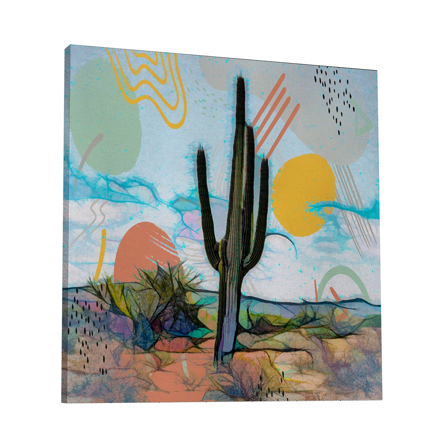 Saguaro Sunshine