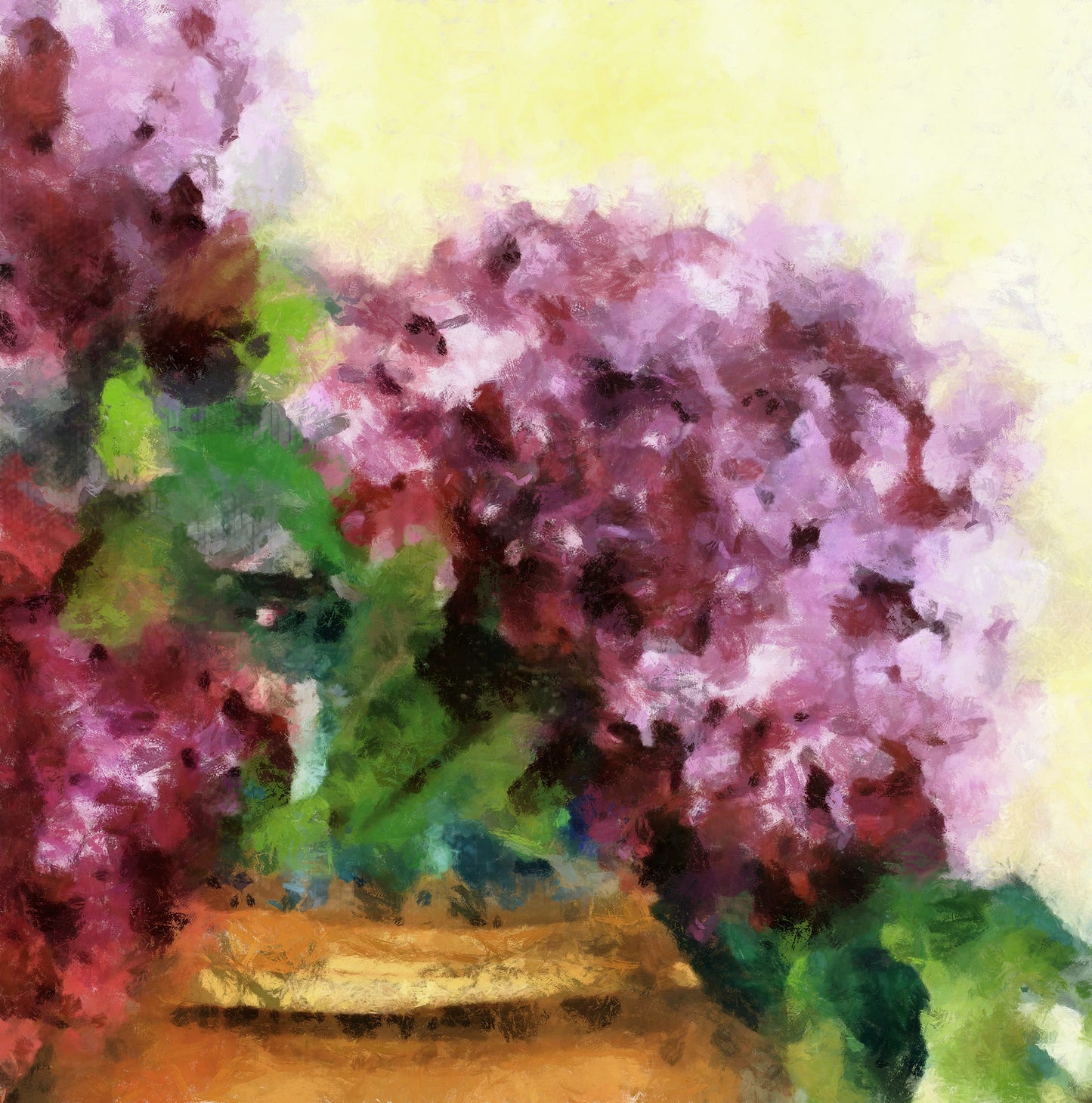 Abdouallah Flowers 56