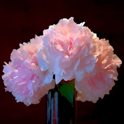 Abdouallah French Bouquet II