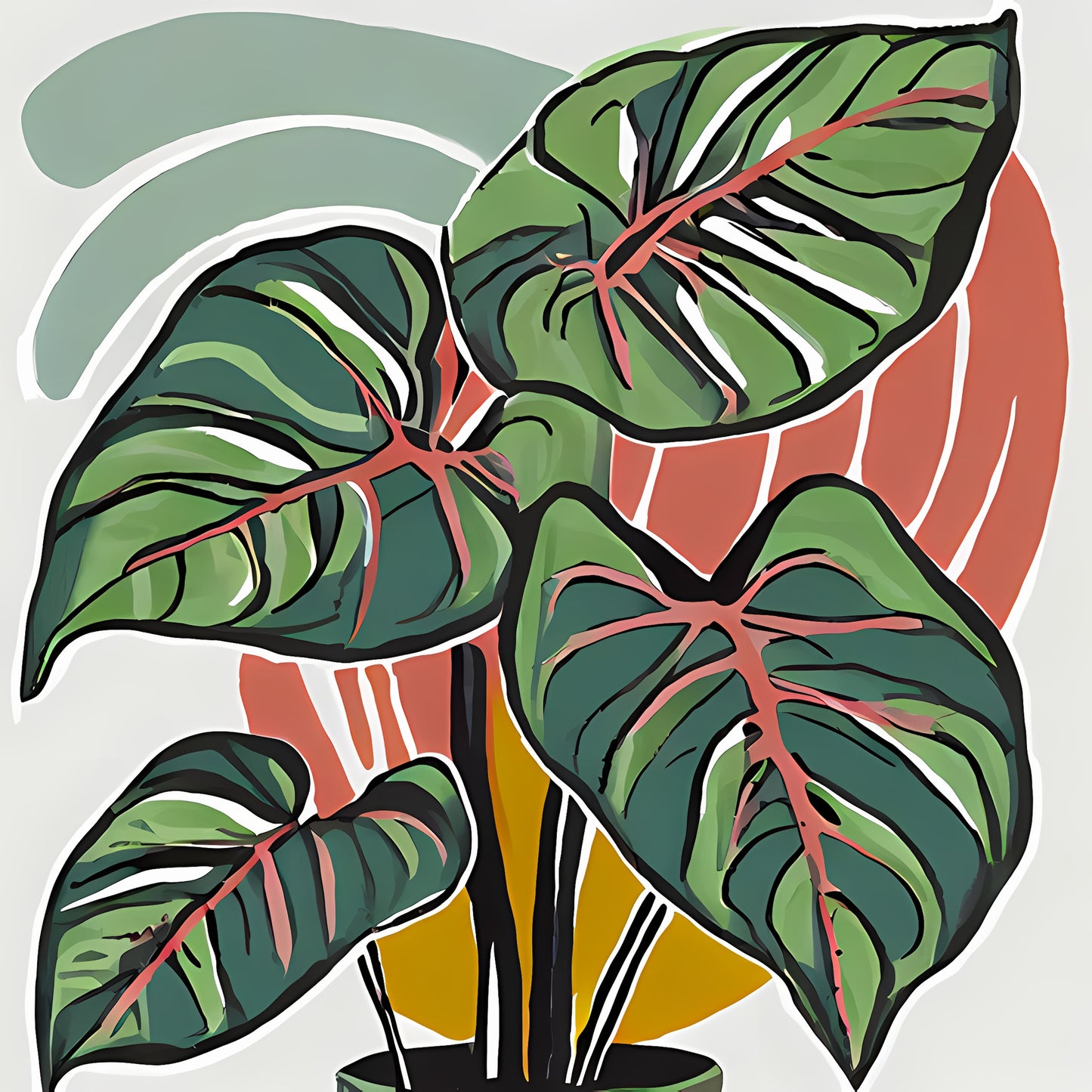Elephant Ears