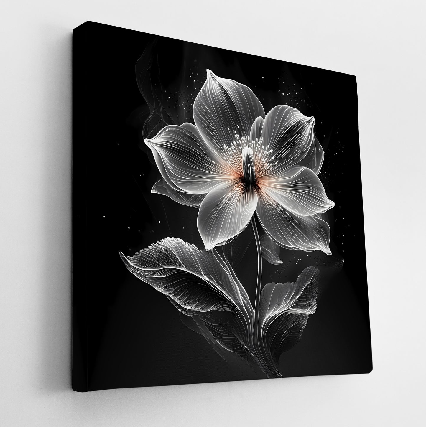 Xray Jasmine I