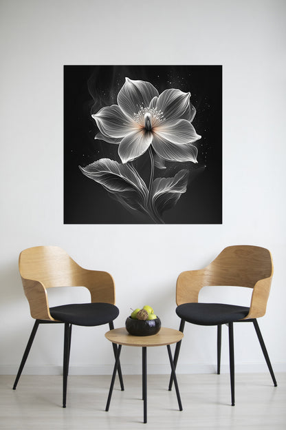 Xray Jasmine I