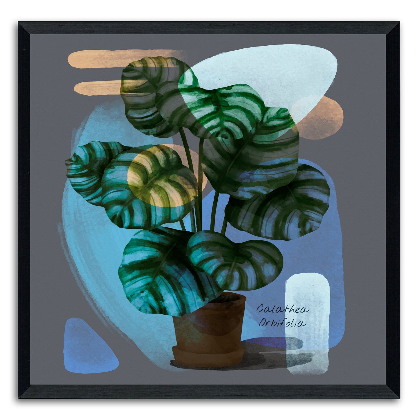 Abstract Calathea Orbifolia Painting Print