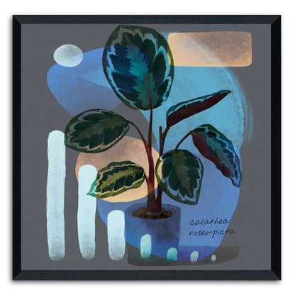 Abstract Calathea Roseo-Picta Painting Print