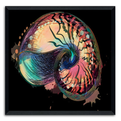 Boho Nautilus Shell 248