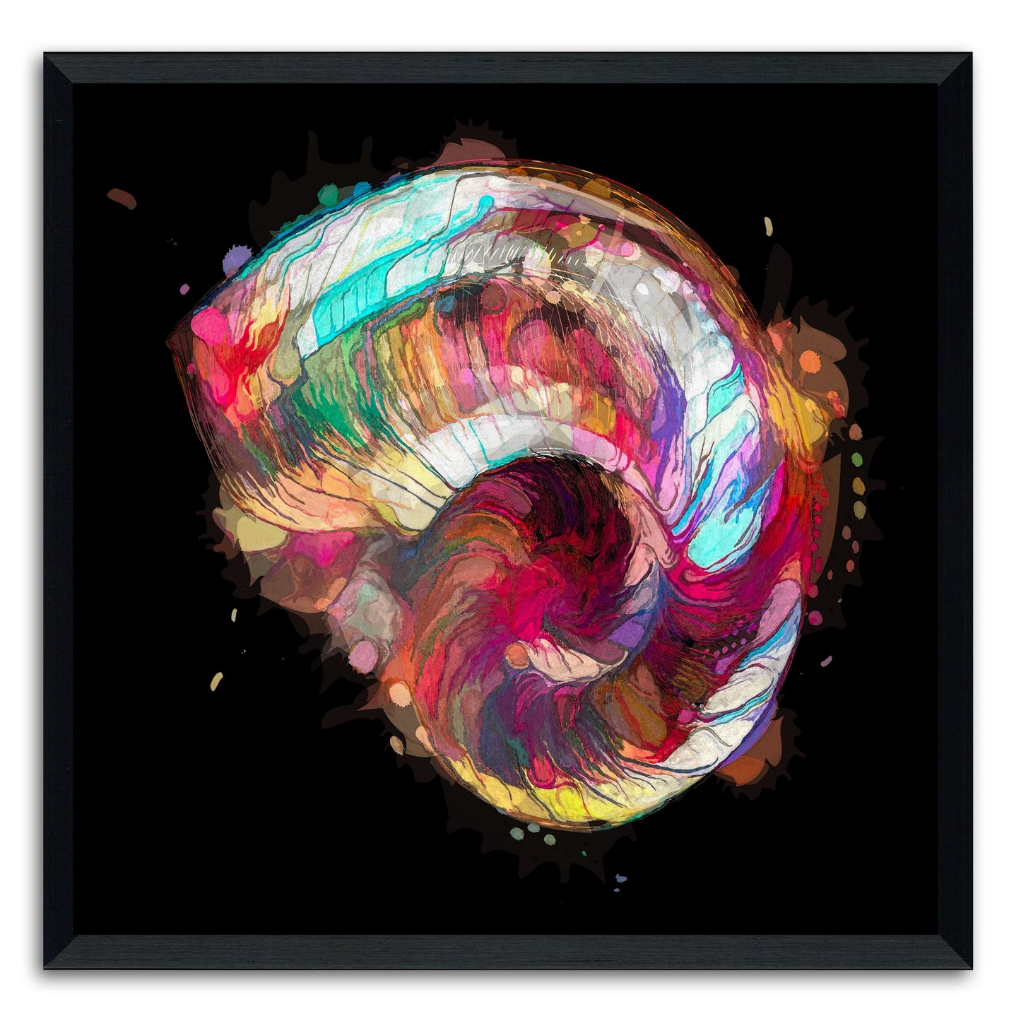 Boho Nautilus Shell 249