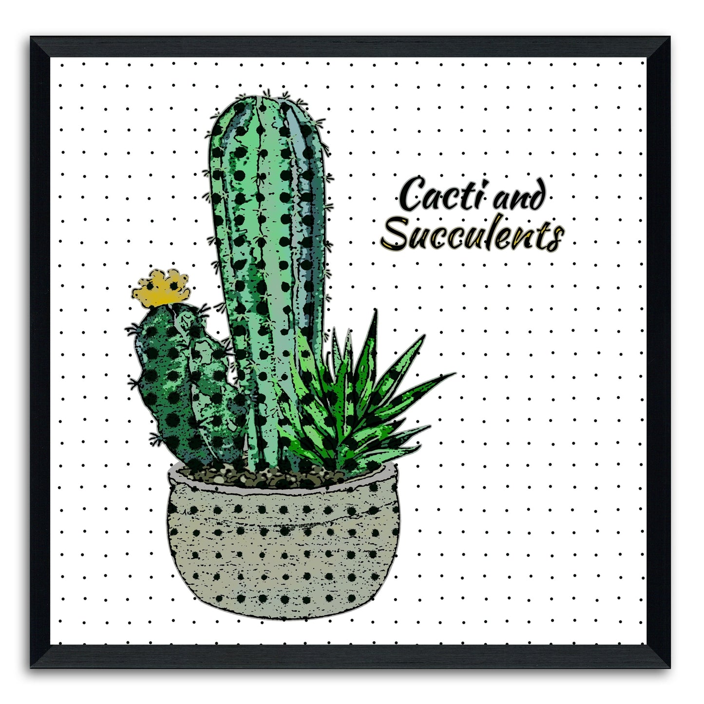 Cacti And Succulents 41