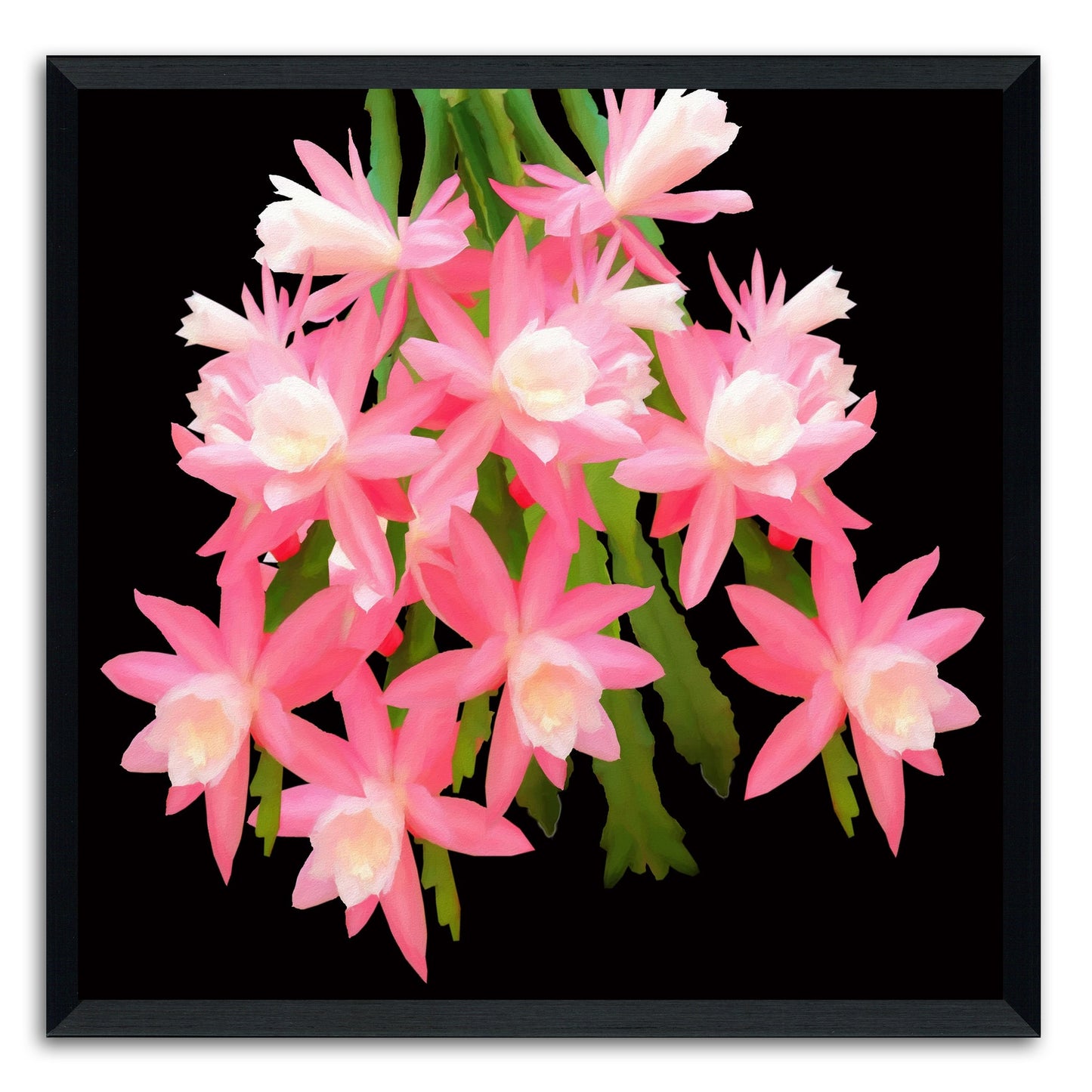 Cactus Flowers 483