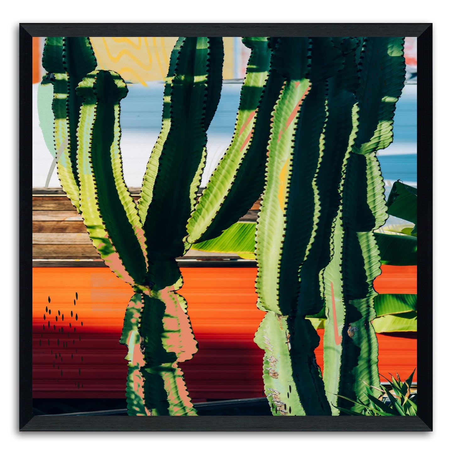 Cactus Garden 130