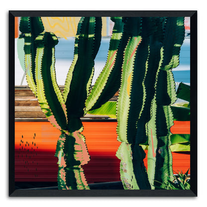 Cactus Garden 130
