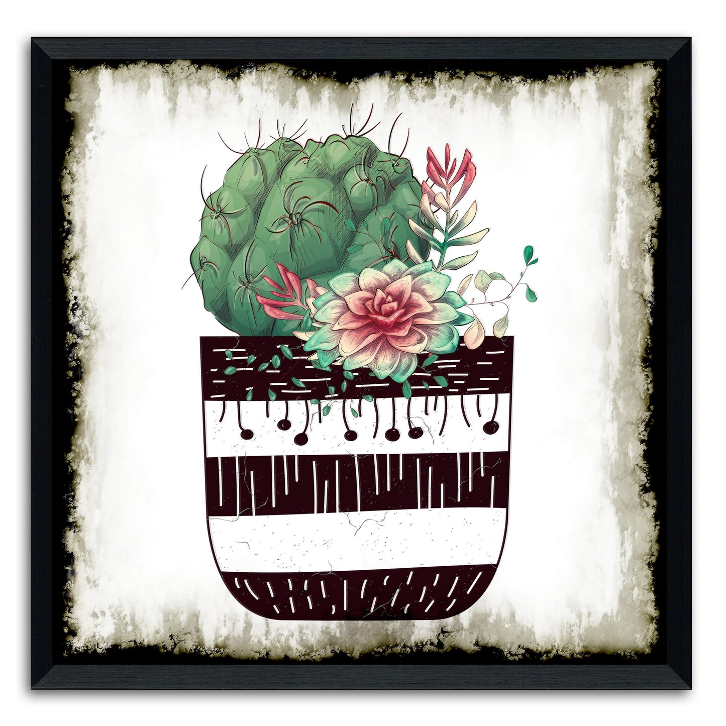 Cactus Succulents 649