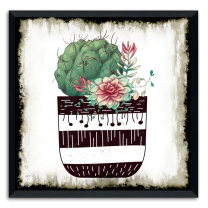 Cactus Succulents 649