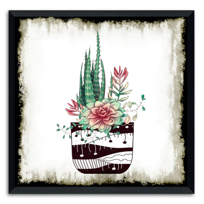 Cactus Succulents 650