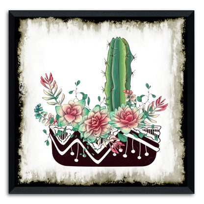 Cactus Succulents 652