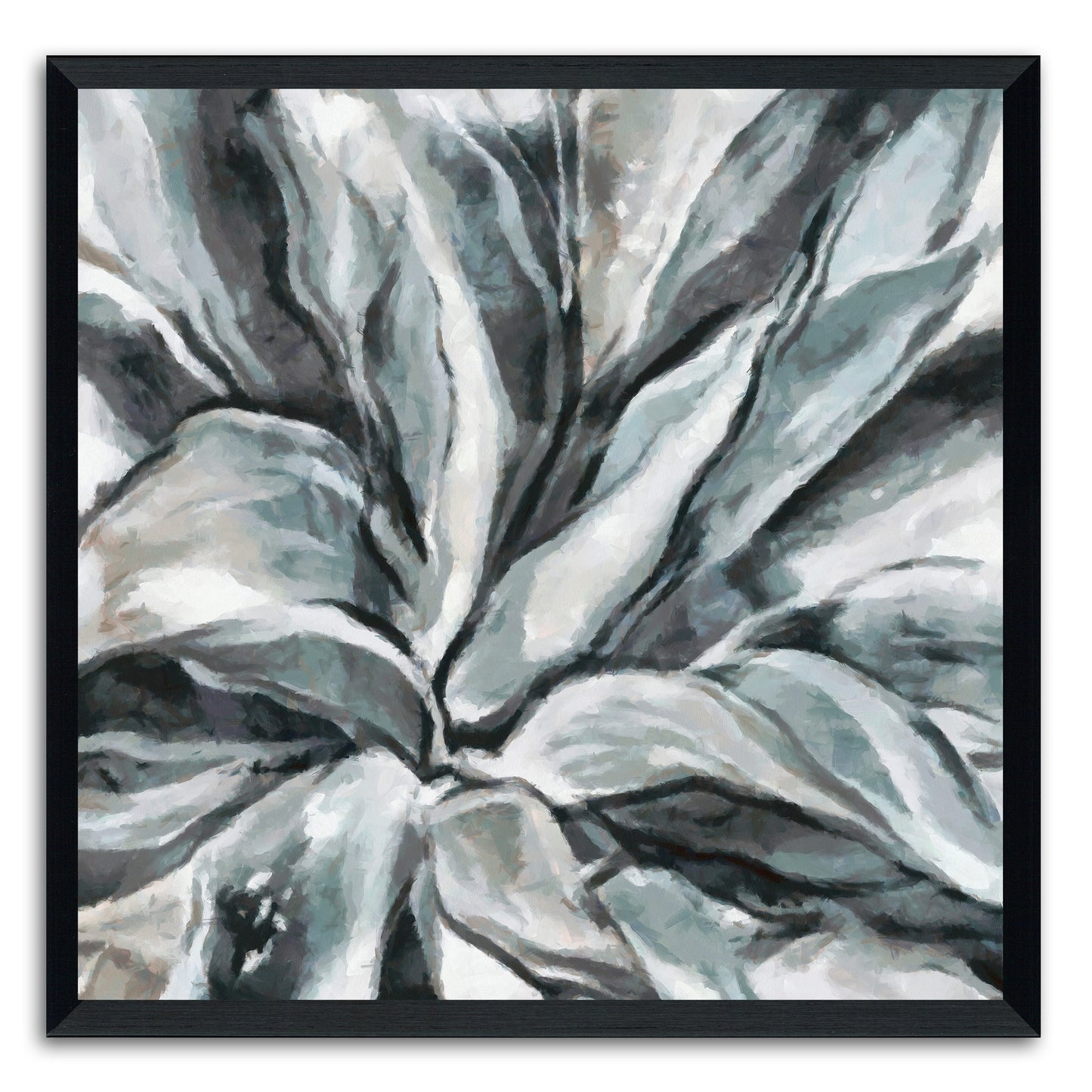 Cereus Aloe