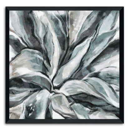 Cereus Aloe