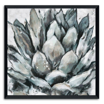 Cereus Echeveria