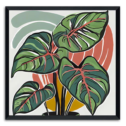 Elephant Ears