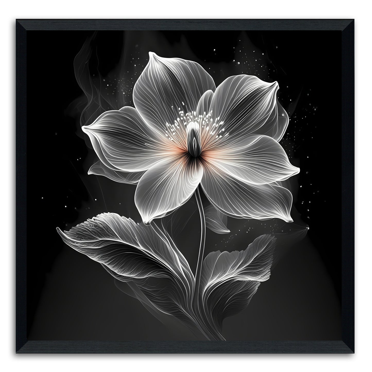 Xray Jasmine I