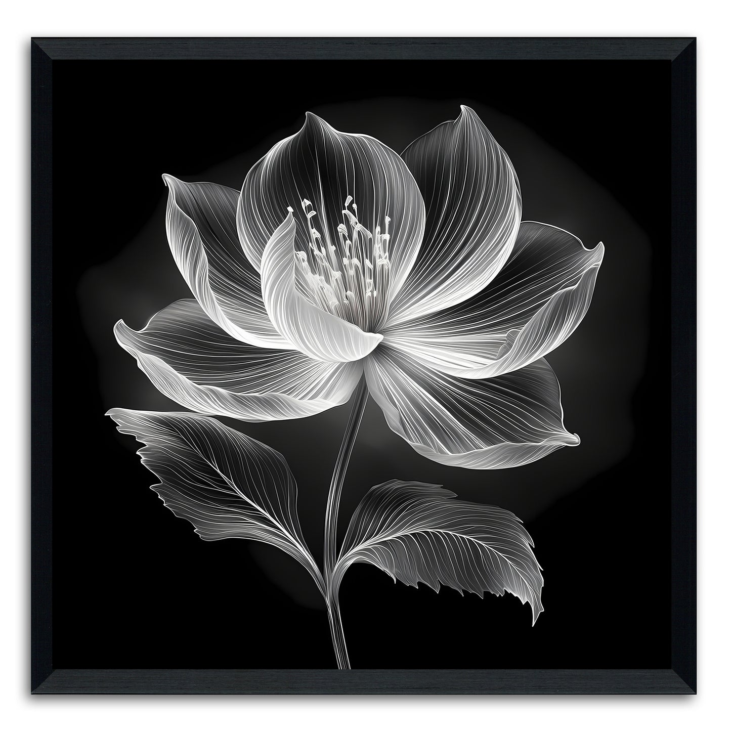 Xray Jasmine III