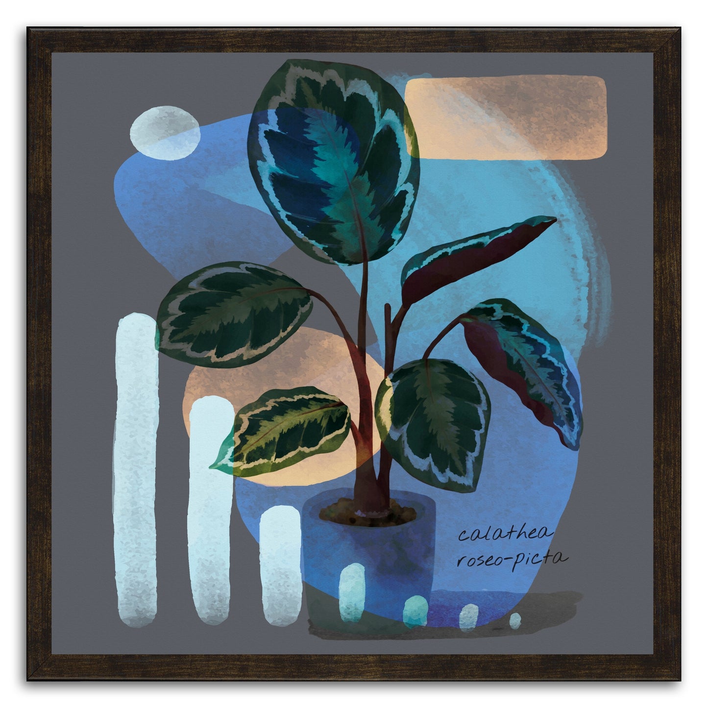 Abstract Calathea Roseo-Picta Painting Print