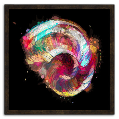 Boho Nautilus Shell 249