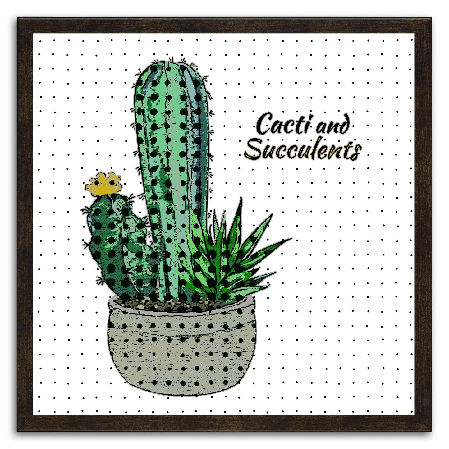 Cacti And Succulents 41