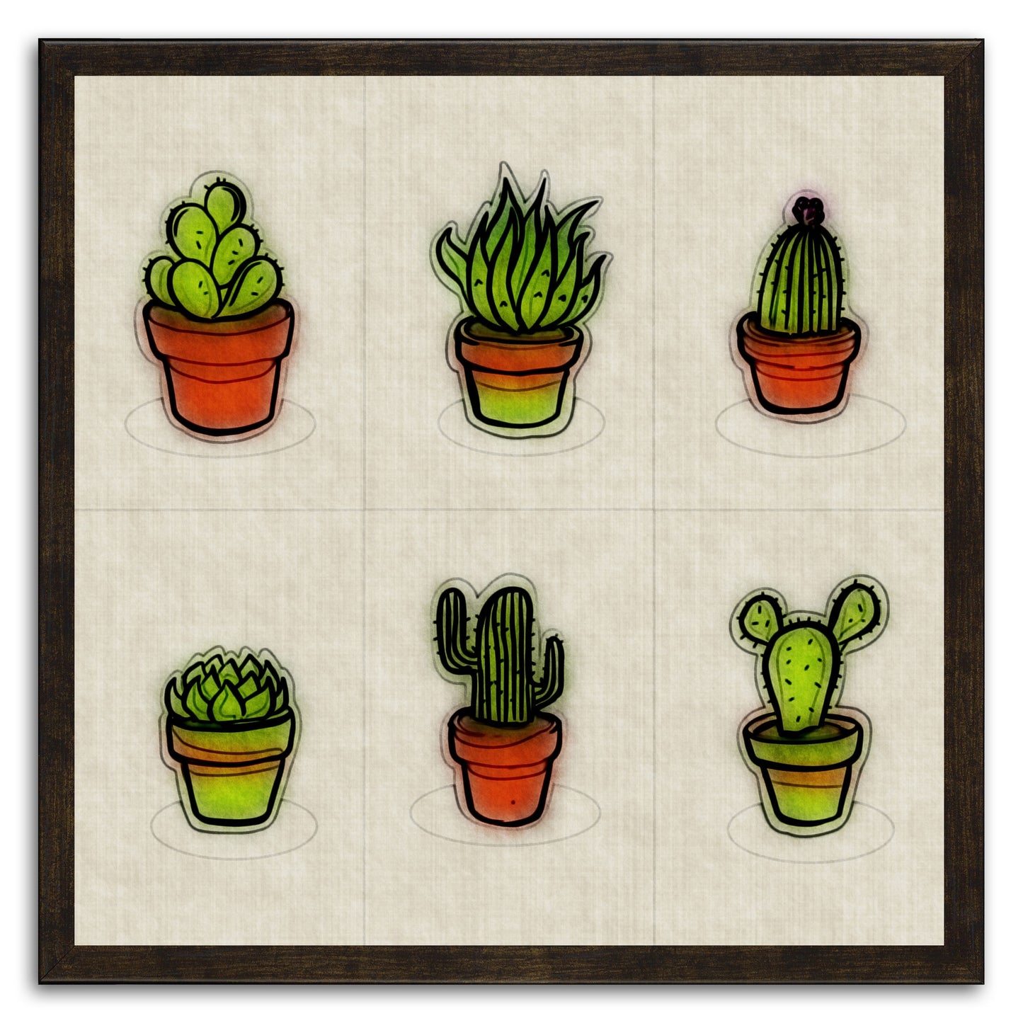Cacti Collection