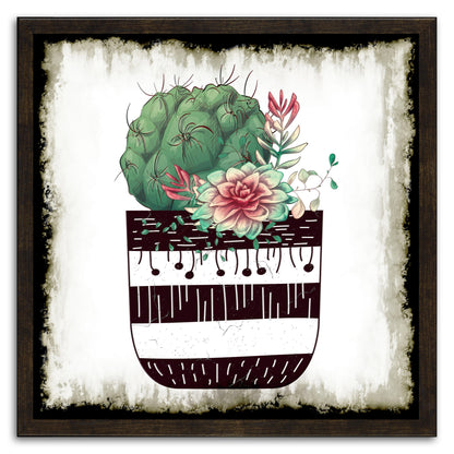 Cactus Succulents 649