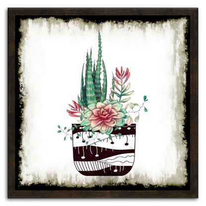 Cactus Succulents 650
