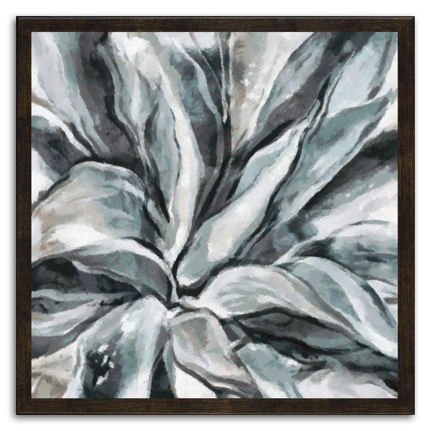 Cereus Aloe